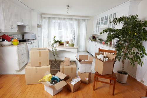 Professional man and van support for furniture delivery and local relocation
